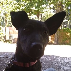 Meet your Posher, Alex